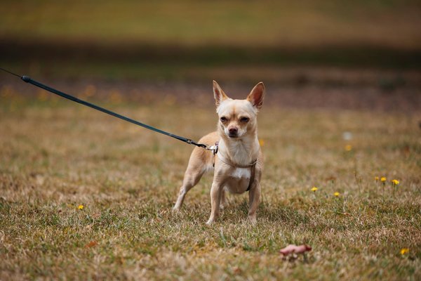 How Can Innovations in Healthcare Transform Patient Outcomes in the UK?