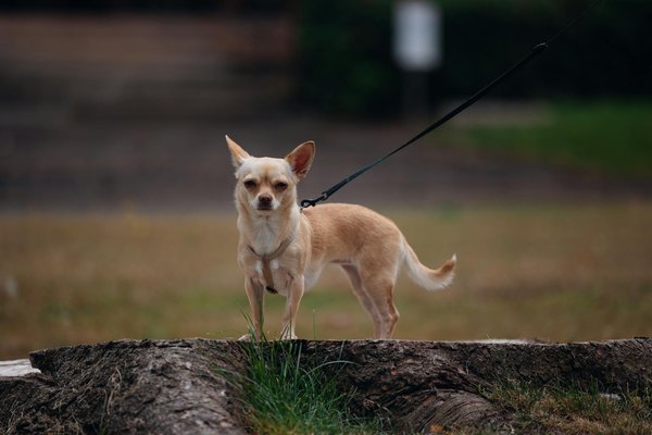 What Innovative Strategies Can UK Real Estate Adopt to Enhance Sustainability?